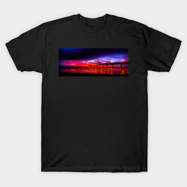 The Panorama Pier T-Shirt by PictureNZ